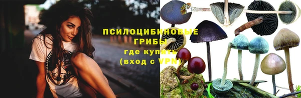 ПСИЛОЦИБИНОВЫЕ ГРИБЫ Дмитров