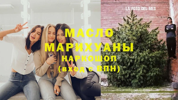 спайс Ельня