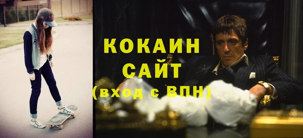 ПСИЛОЦИБИНОВЫЕ ГРИБЫ Дмитров
