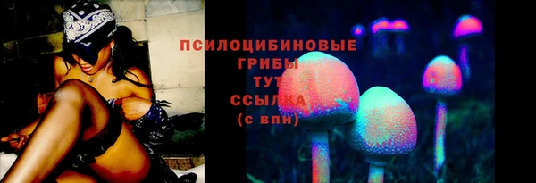 амф Елабуга