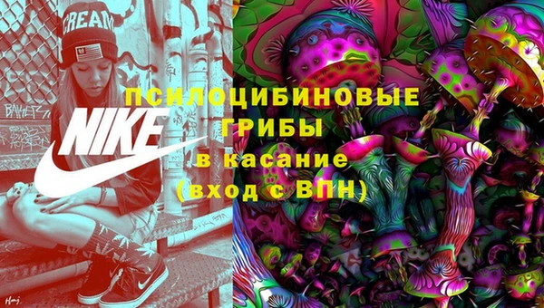 хмурый Елизово